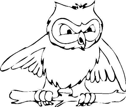 Owls clip art