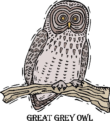 Owls clip art