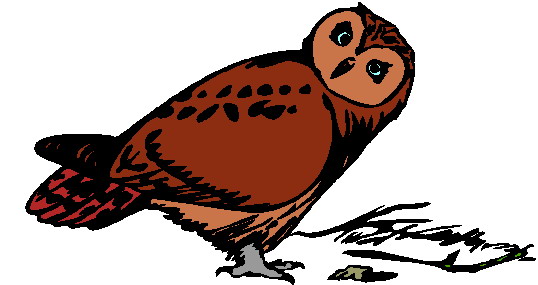 Owls clip art