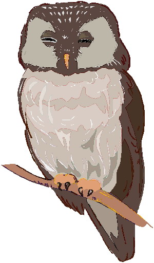 Owls clip art