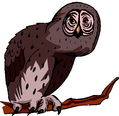 Owls clip art