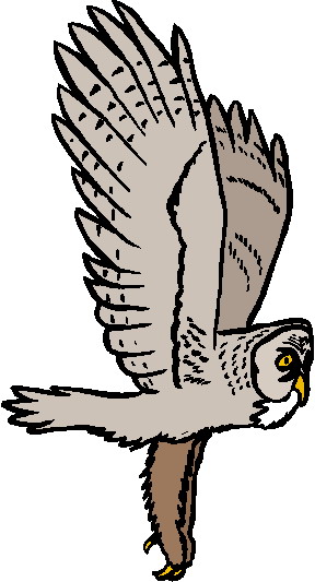 Owls clip art