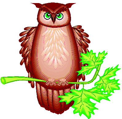 Owls clip art