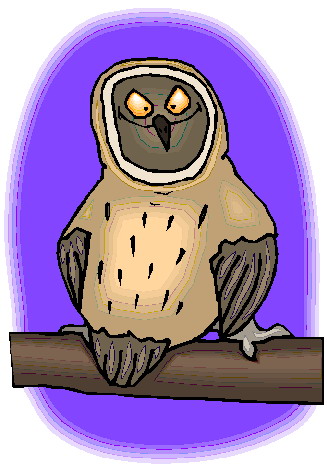 Owls clip art