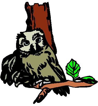 Owls clip art