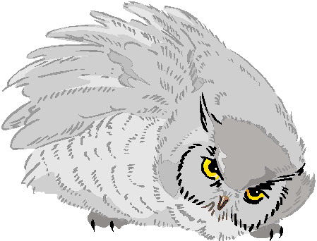 Owls clip art