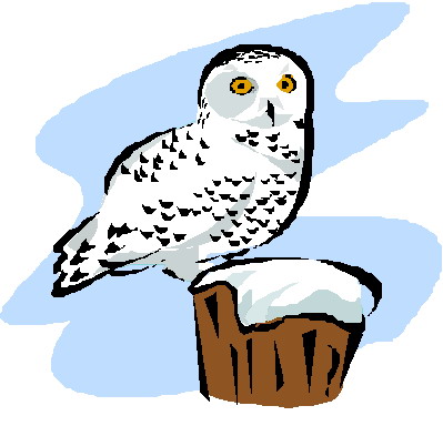 Owls clip art