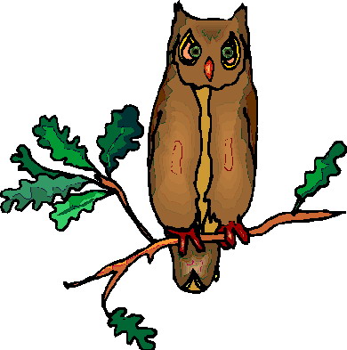 Owls clip art