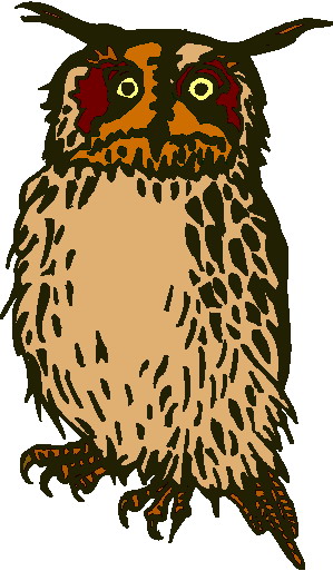 Owls clip art