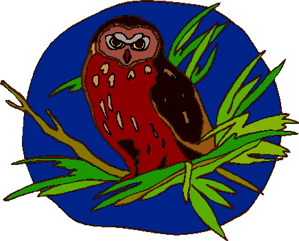 Owls clip art