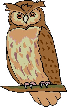 Owls clip art