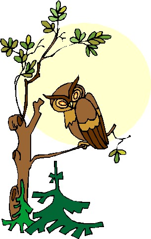 Owls clip art