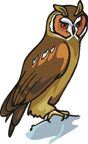 Owls clip art