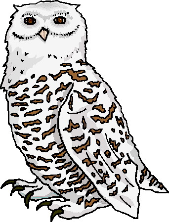 Owls clip art