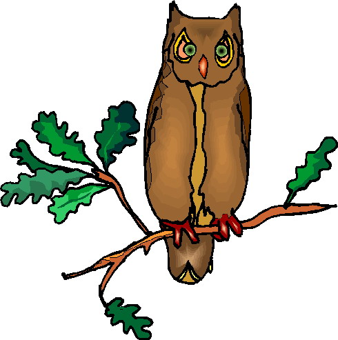 Owls clip art