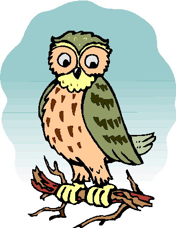 Owls clip art