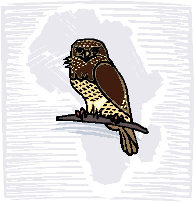 Owls clip art