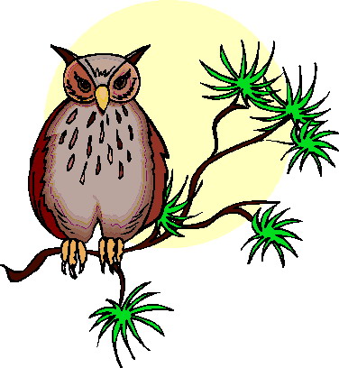 Owls clip art