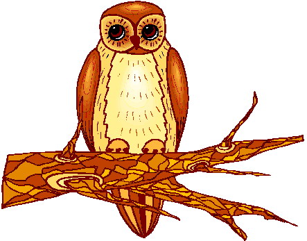 Owls clip art