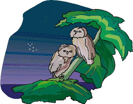 Owls clip art