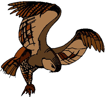 Owls clip art