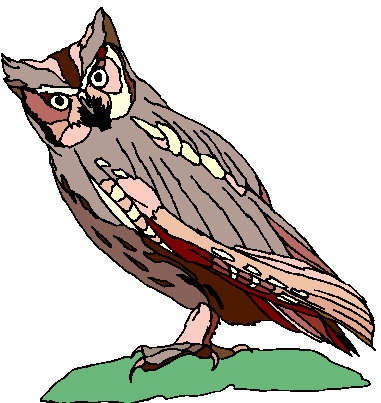 Owls clip art