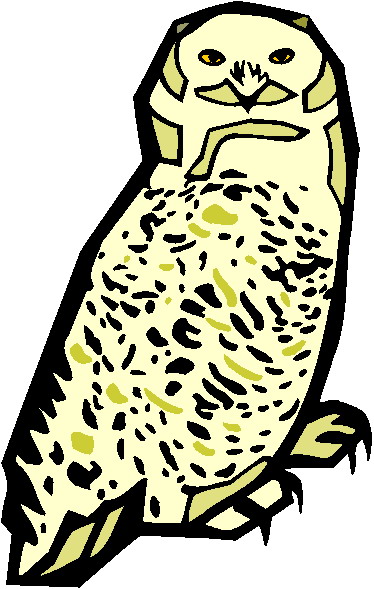 Owls clip art