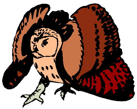 Owls clip art