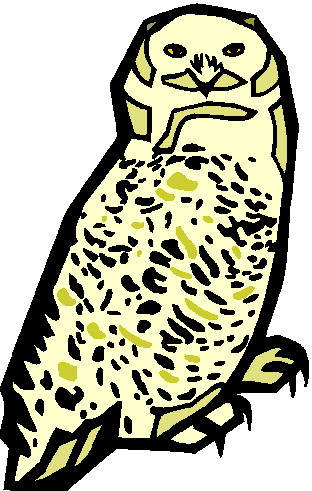 Owls clip art