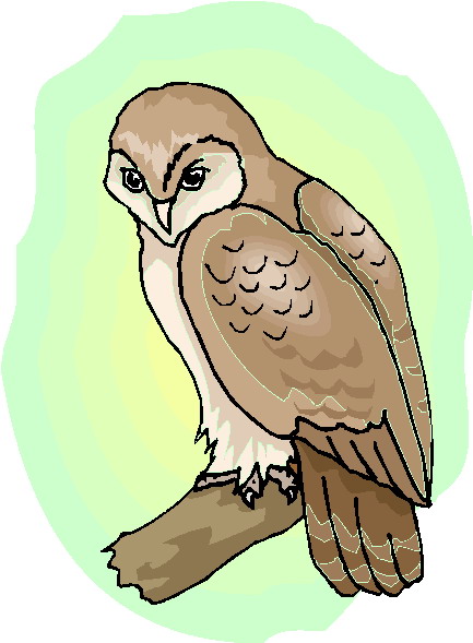 Owls clip art