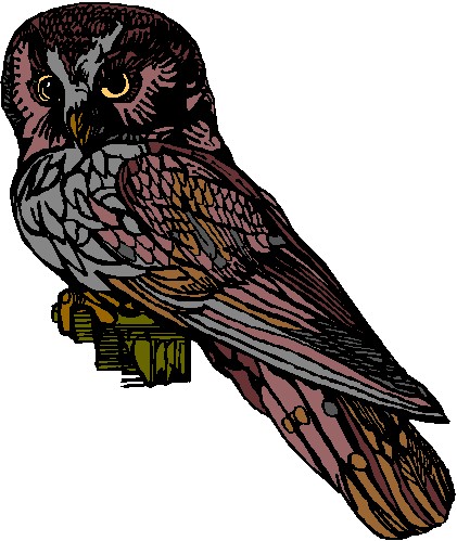 Owls clip art