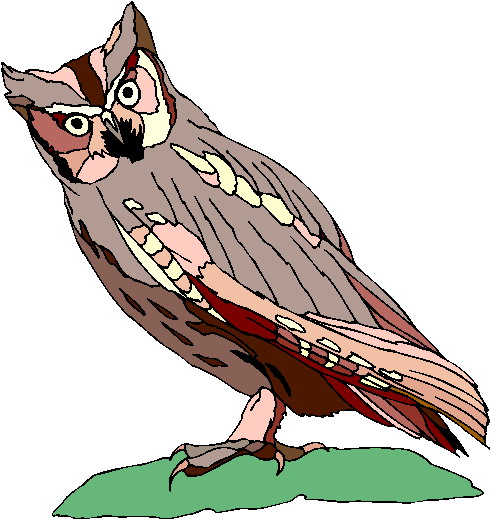 Owls clip art