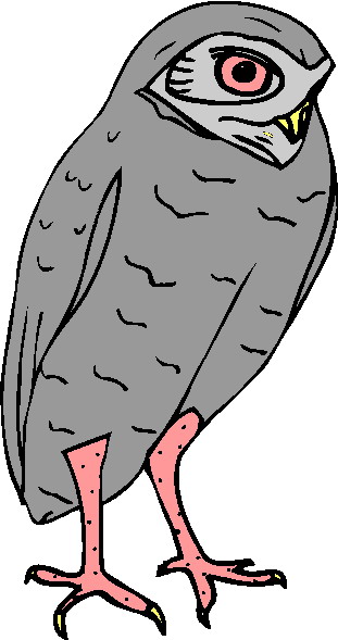 Owls clip art