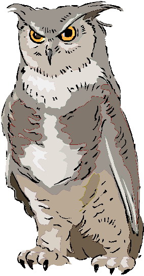 Owls clip art