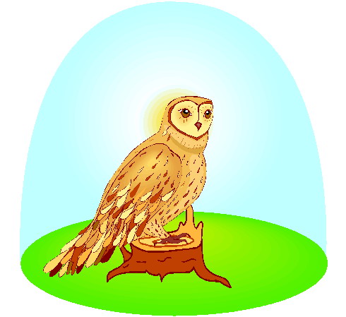 Owls clip art