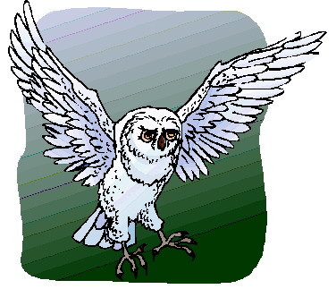 Owls clip art