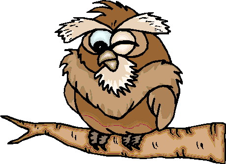 Owls clip art