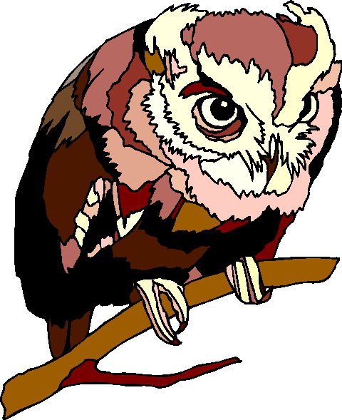 Owls clip art