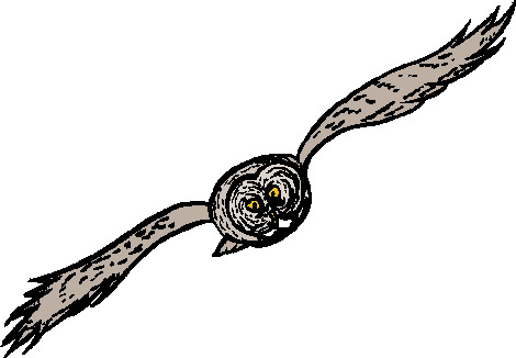 Owls clip art