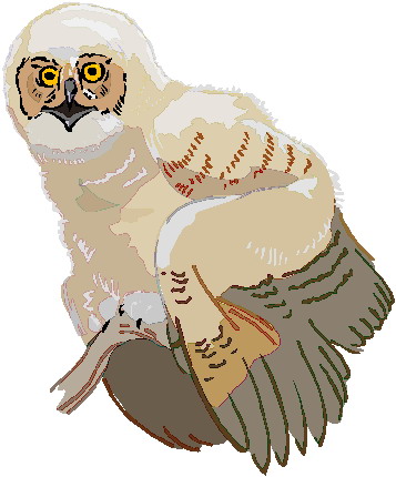 Owls clip art