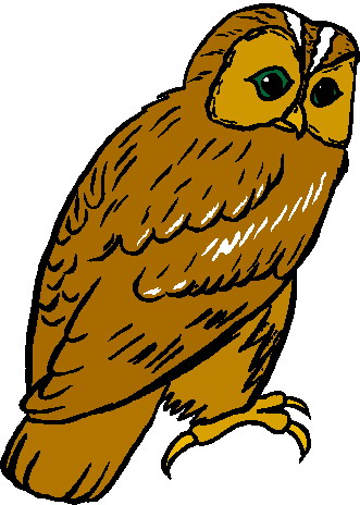 Owls clip art