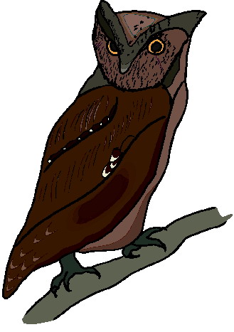 Owls clip art