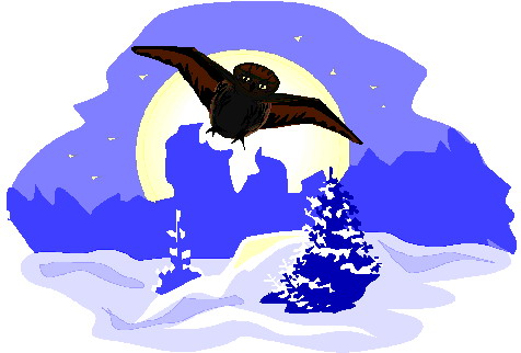 Owls clip art