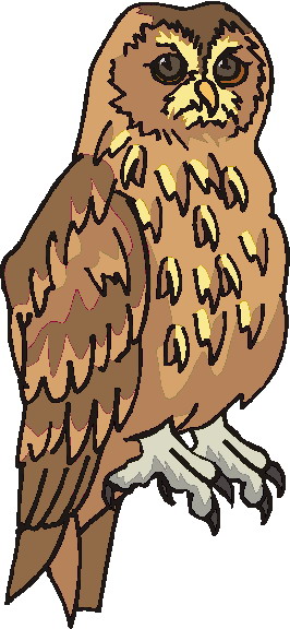 Owls clip art