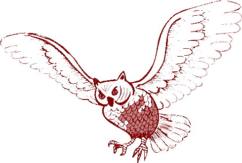 Owls clip art