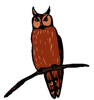 Owls clip art
