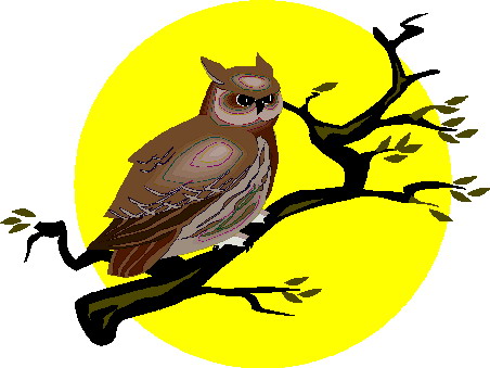 Owls clip art