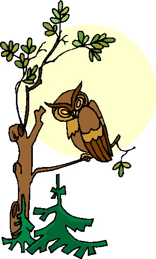 Owls clip art