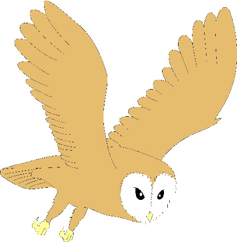 Owls clip art