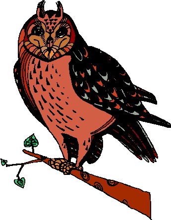 Owls clip art